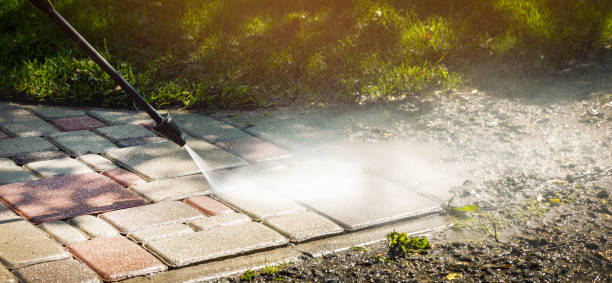 Best Fence Cleaning  in Lake Shore, MD